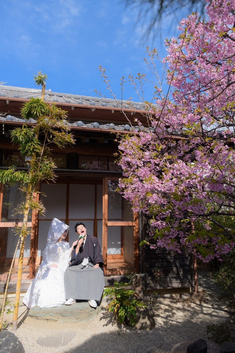 ❀四季亭の河津桜❀