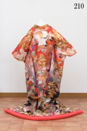 新しい色打掛が仲間入り♡