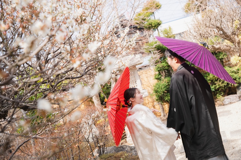 河津桜　2月下旬～3月上旬