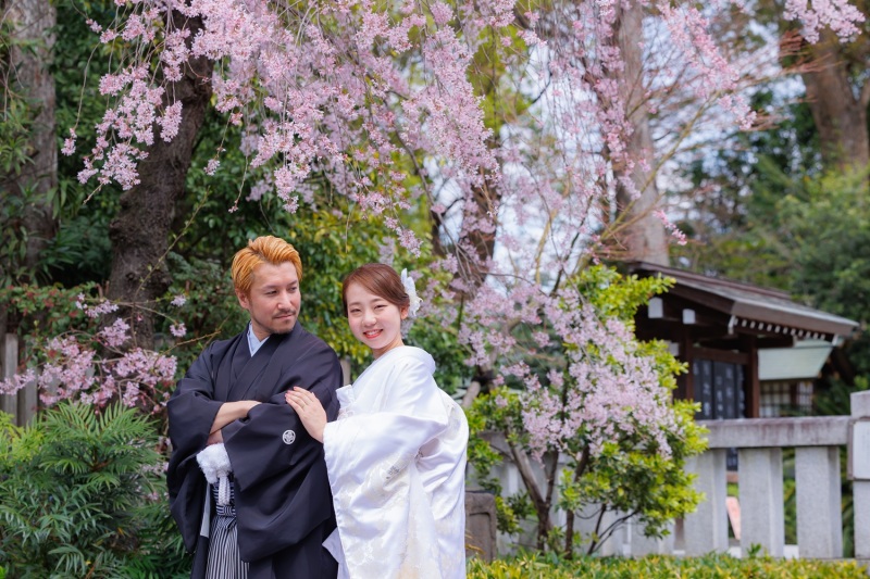 2026年桜の開花は？