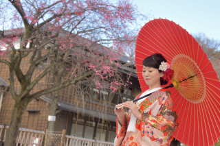 梅が咲き始めました!