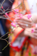 梅の花が咲き始めました＾＾