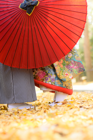 大田黒公園の絵になる銀杏並木