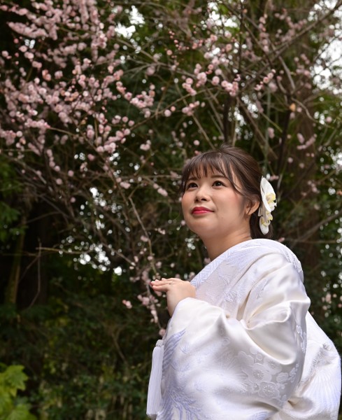 阿佐ヶ谷神明宮の神社にも梅がとてもキレイに咲いてます✿