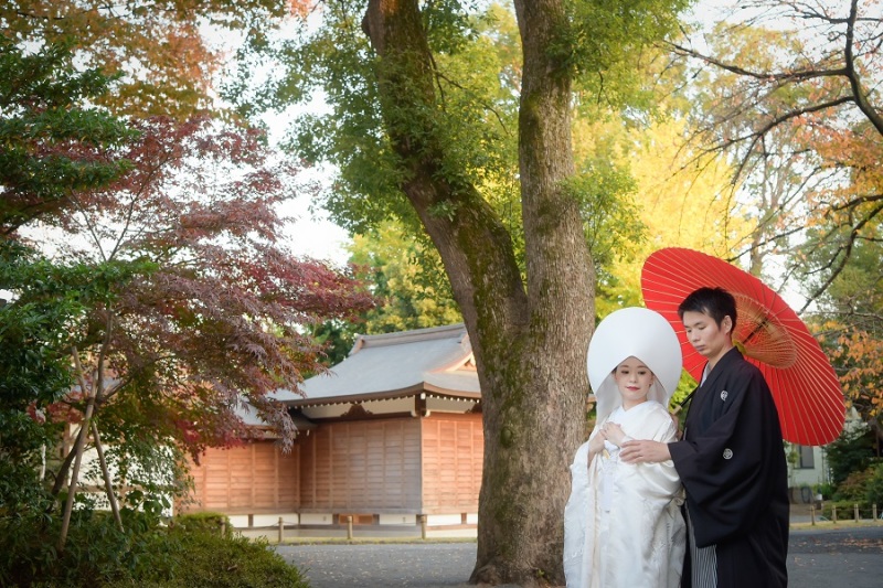 阿佐ヶ谷神明宮(神社)の木々が色づきはじめました♪