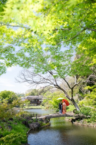 新緑フォト!緑が出てきました~