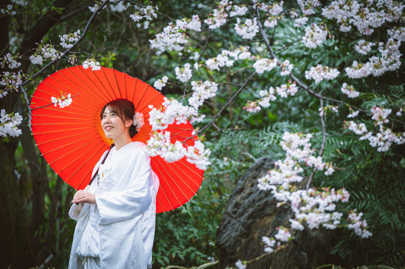 【雨の日フォト】肥後細川庭園×阿佐ヶ谷神明宮の『雨×桜』フォトをご紹介！