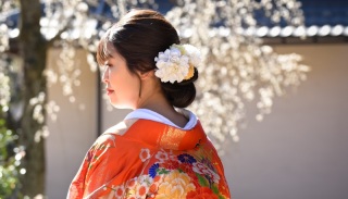 和装の髪飾り❀