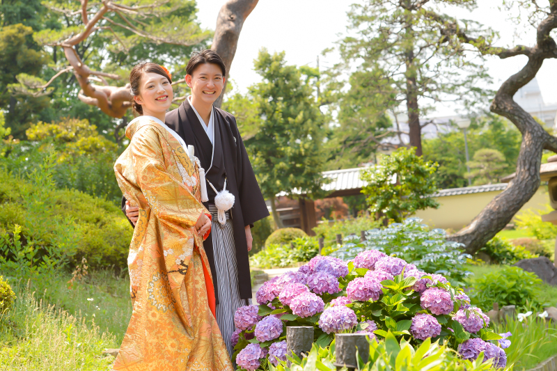 6月は紫陽花の季節❁