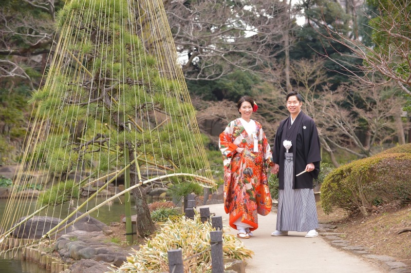 肥後細川庭園の梅が見ごろです❁