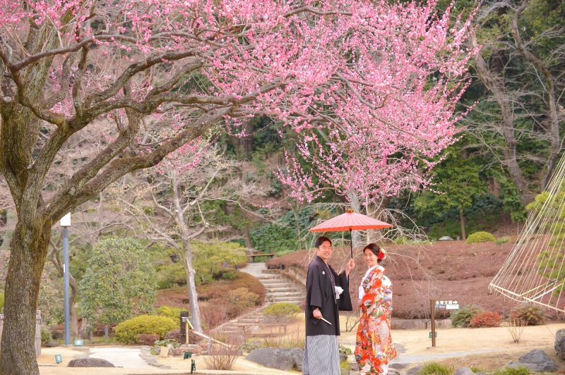 2月下旬は梅シーズン♡~梅フォトをご紹介~