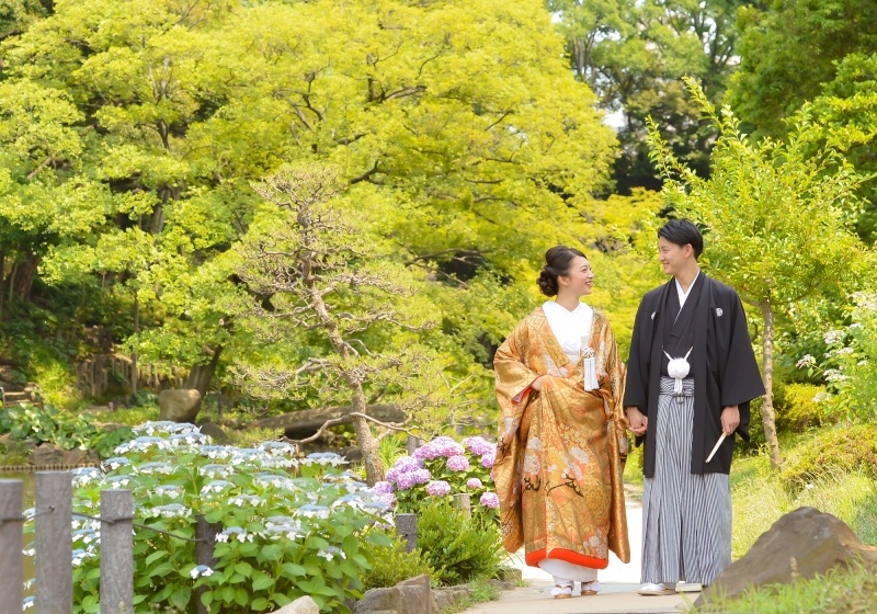 それそろ紫陽花の季節です