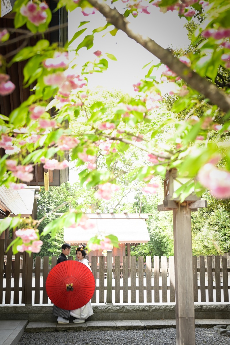 【神社フォト】4/20撮影：葉桜・藤の花の写真✿