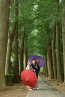 この時期にオススメ!日陰が多い庭園☆大田黒公園✨