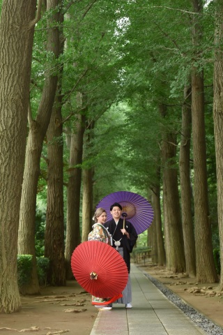 この時期にオススメ!日陰が多い庭園☆大田黒公園✨