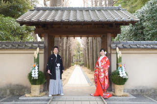 あけましておめでとうございます!