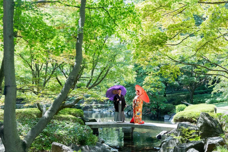 新緑の大田黒公園♪