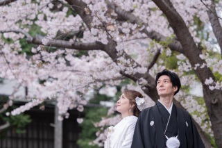 さくら満開予想？！