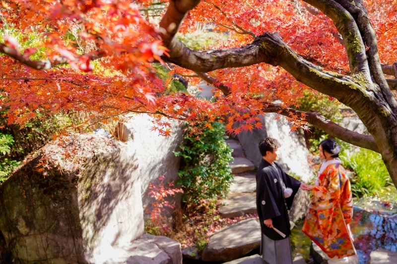 紅葉空き状況のお知らせ