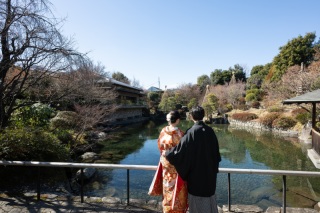 いいとこどりプラン