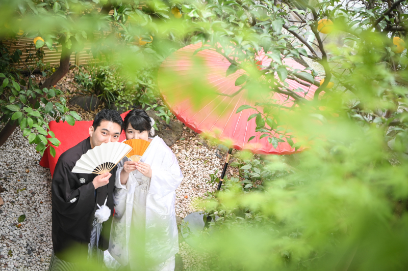 【先着順!3/3・6・10・13・14】大田黒公園&スタジオ撮影 びっくりプラン