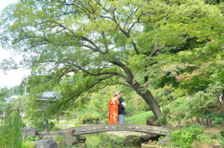肥後細川庭園について