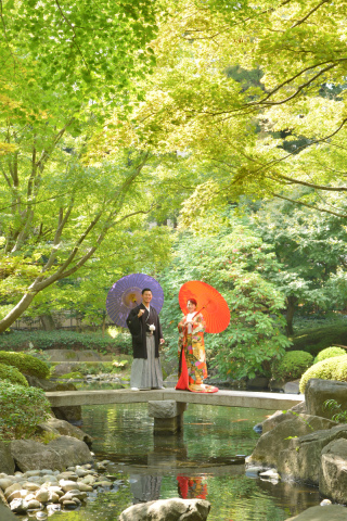 暑い日が続いてますね。