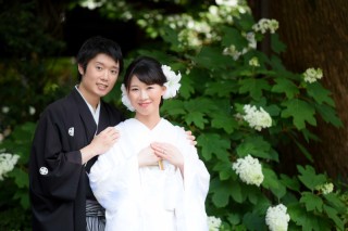 6月頃は紫陽花が咲きます。