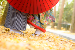 大田黒公園の撮影がまもなく再開できます!