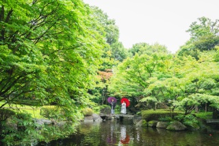 緑を背景にして撮影が出来るのは10月～11月上旬が年内最後