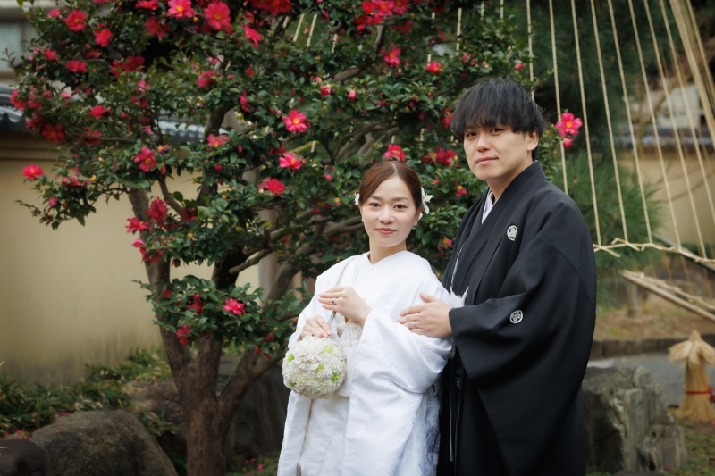 肥後細川庭園の梅情報！