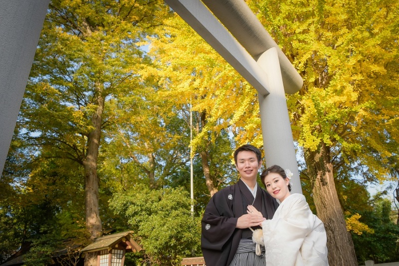 阿佐ヶ谷神明宮(神社)の木々が色づきはじめました♪
