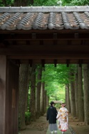 大田黒公園～新緑～