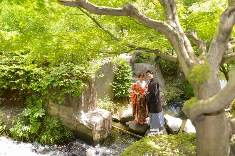 新緑の目白庭園♪
