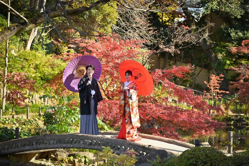 紅葉空き状況のお知らせ