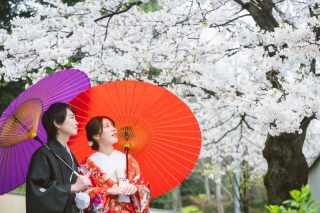 本格的に桜シーズン到来!!