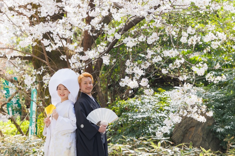 2026年桜の開花は？