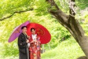 肥後細川庭園 新緑フォト♪