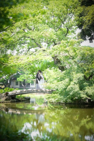 深緑の肥後細川庭園♪