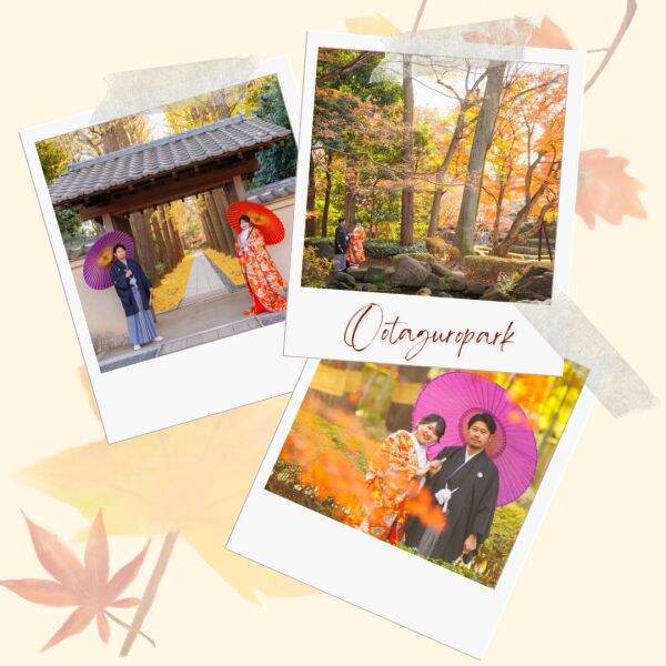 25年紅葉ロケーション地のご紹介