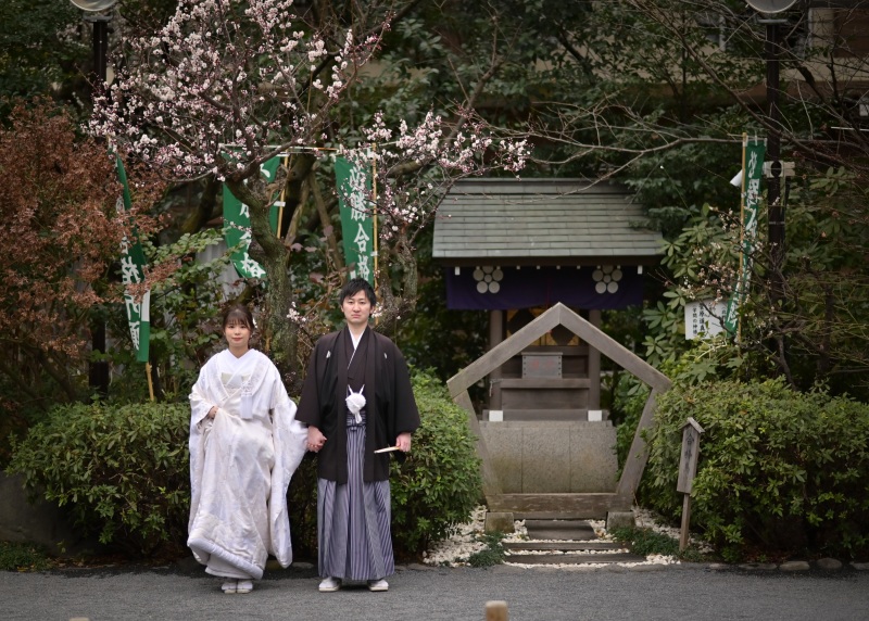 阿佐ヶ谷神明宮の神社にも梅がとてもキレイに咲いてます✿