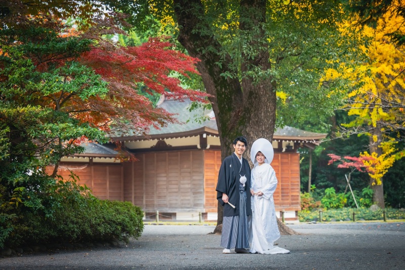 もうじき紅葉の季節