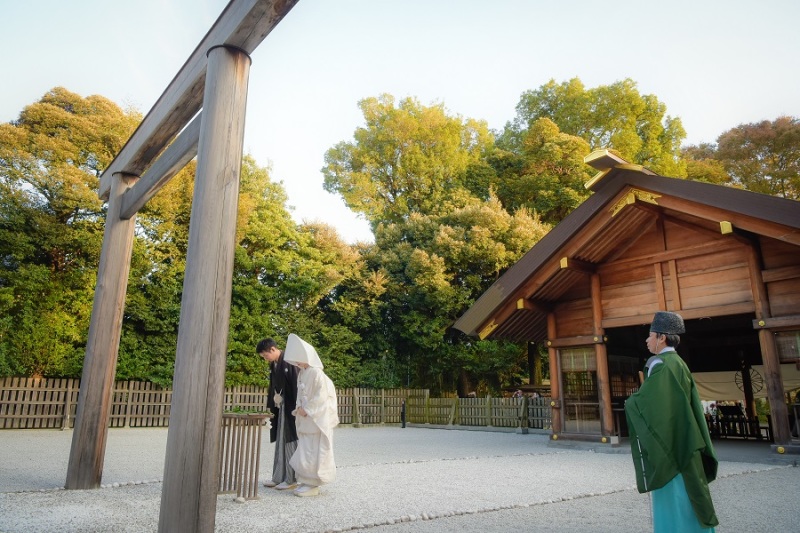 阿佐ヶ谷神明宮(神社)の木々が色づきはじめました♪