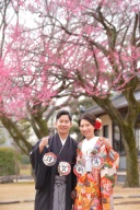 肥後細川庭園の梅が見ごろです❁