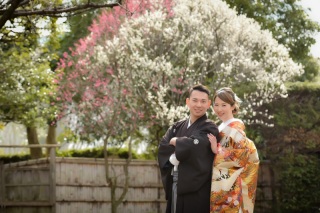 ❁梅シーズン❁