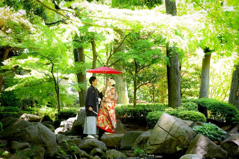 これからが新緑最盛シーズンです