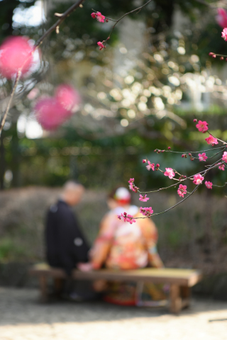 華雅苑 阿佐ヶ谷店 2月~3月