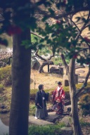 椿咲く頃&hellip;