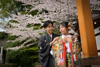 桜の満開はいつ頃？