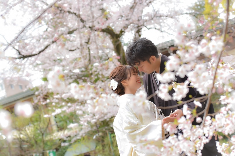桜シーズン撮影枠残りわずか・・・✿
